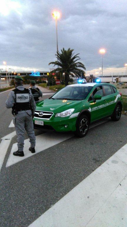 posto controllo corpo forestale