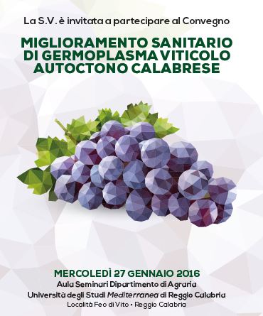 convegno mediterranea