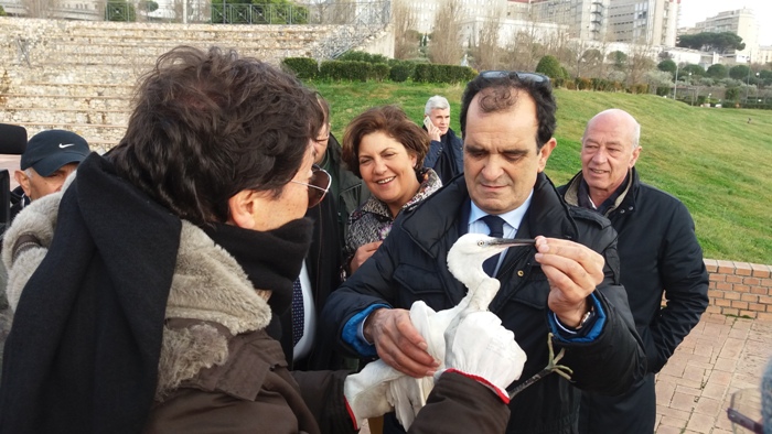 liberazione poiane garzetta