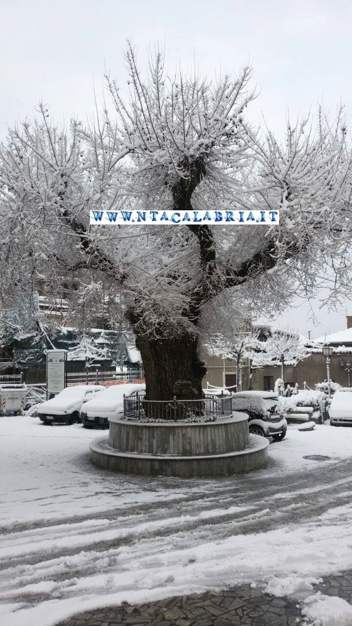 neve san lorenzo