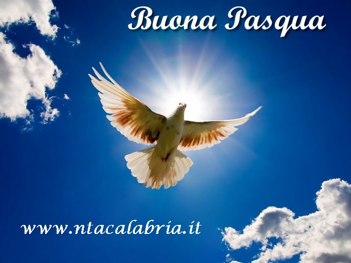 buona pasqua