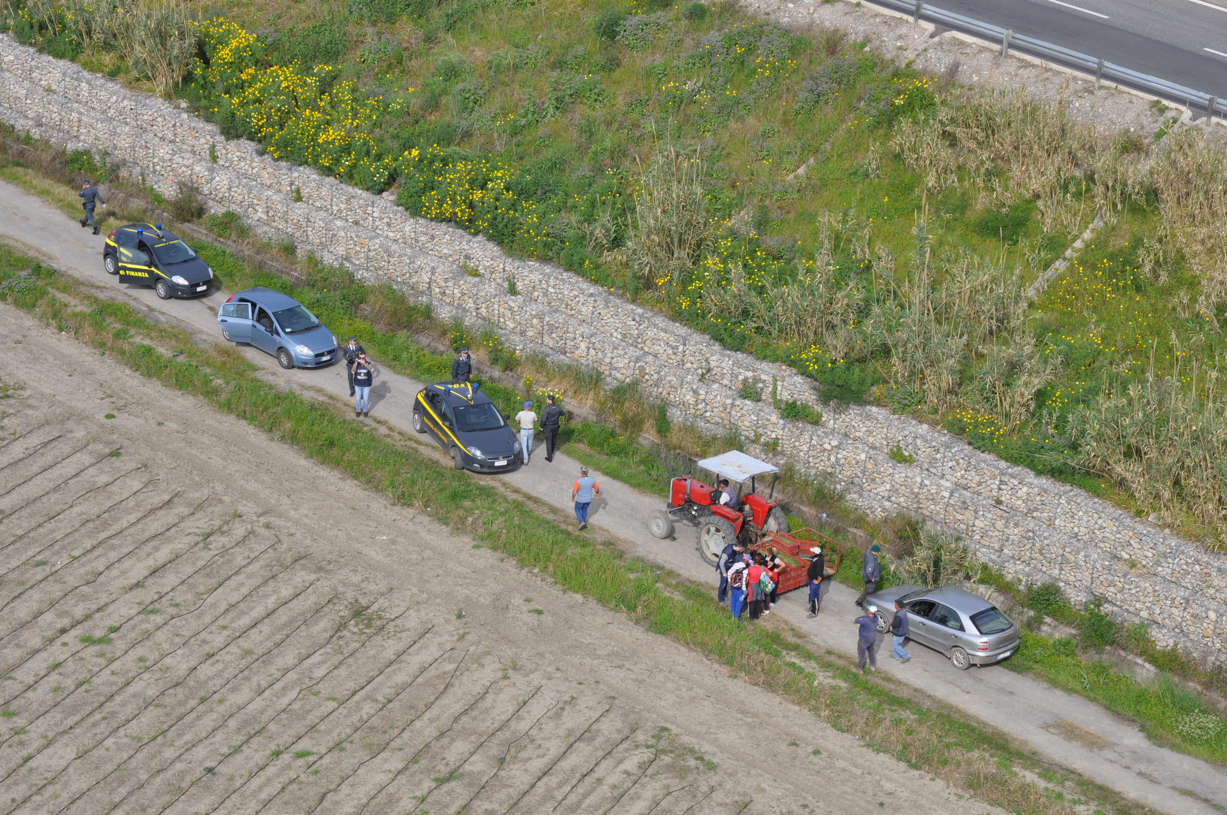 controlli gdf settore agricolo