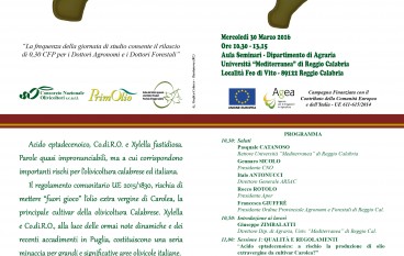 Reggio, alla facoltà di Agraria dibattito sull’olivo e la Calabria