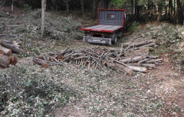 Stilo, trafugavano legname proveniente da bosco: 2 arresti