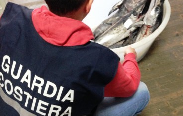 Roseto Capo Spulico, sequestrati 30 kg di pesce spada