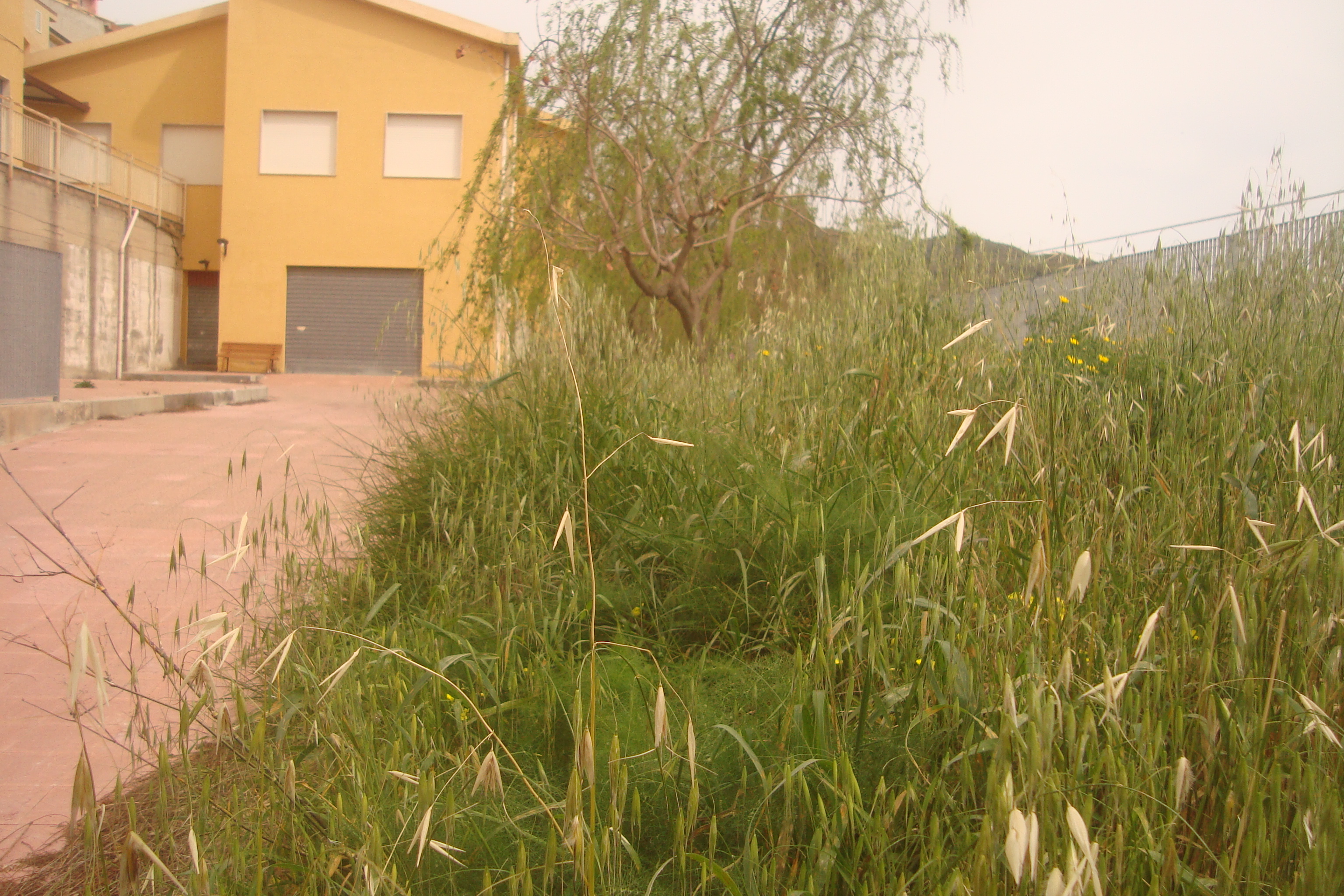 scuola infanzia motta sg