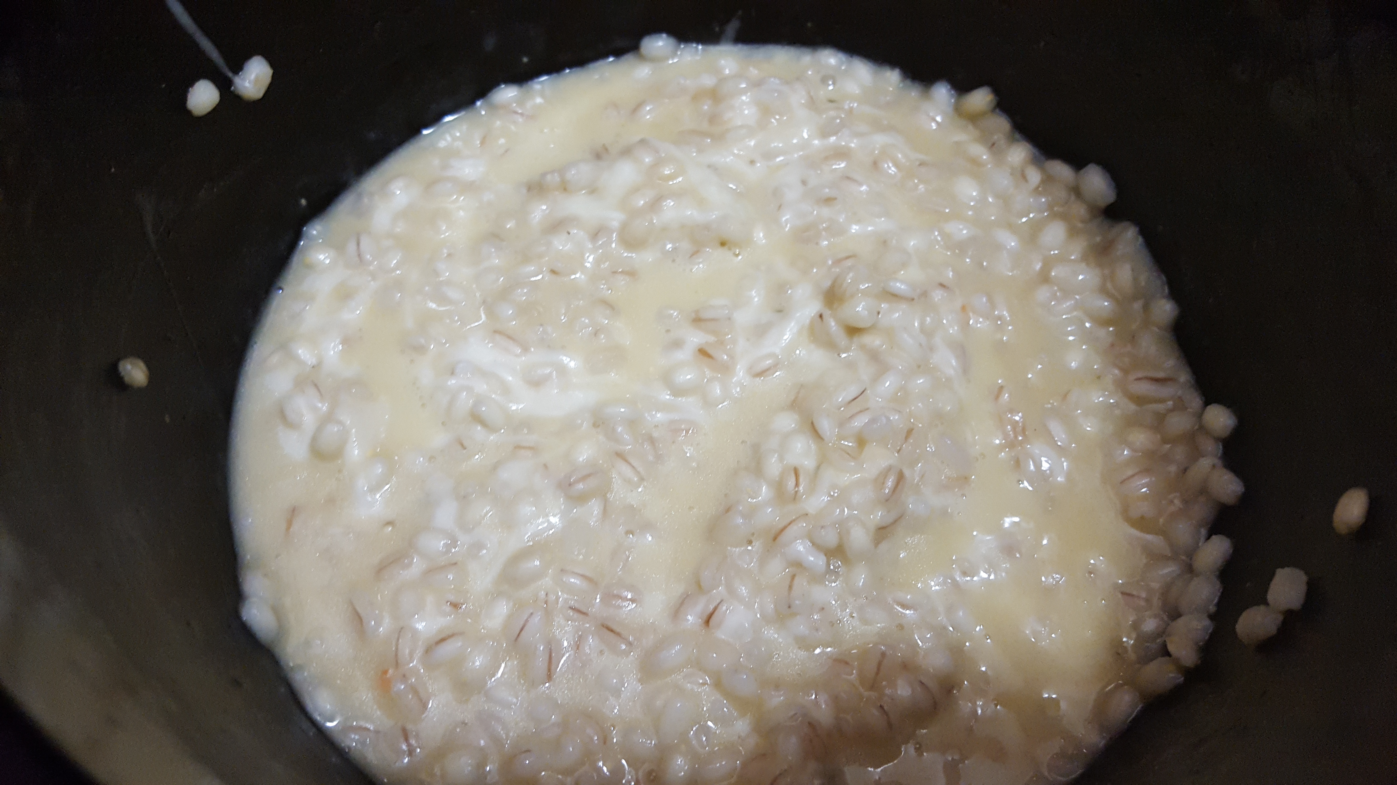 Orzo fonduta provola