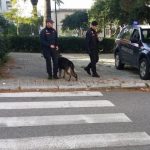 carabinieri daspo