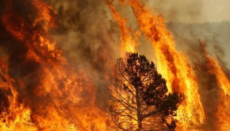 Rischio incendi in Calabria, la nota della Protezione Civile