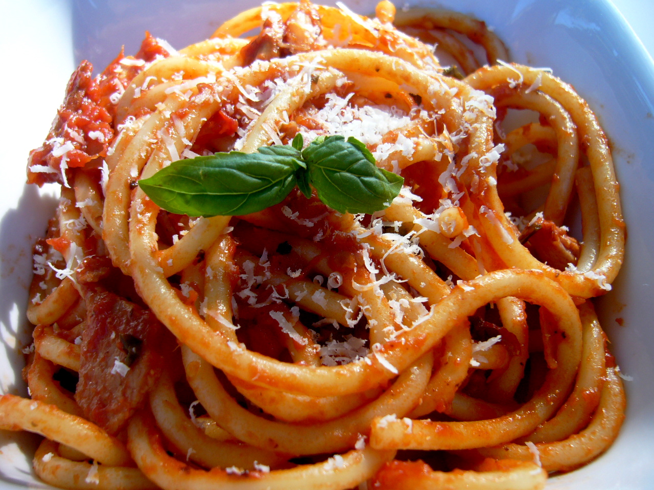 amatriciana