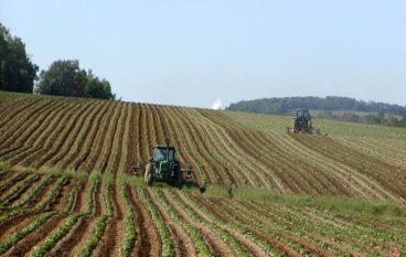 Italia, Anche le aziende agricole sfruttano il digitale