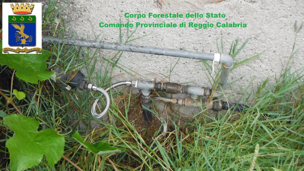 furto acqua reggio