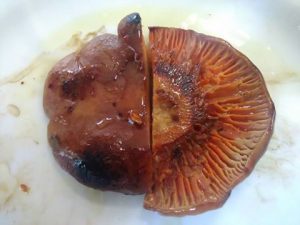 funghi rositi arrosto
