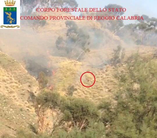 incendio boschivo