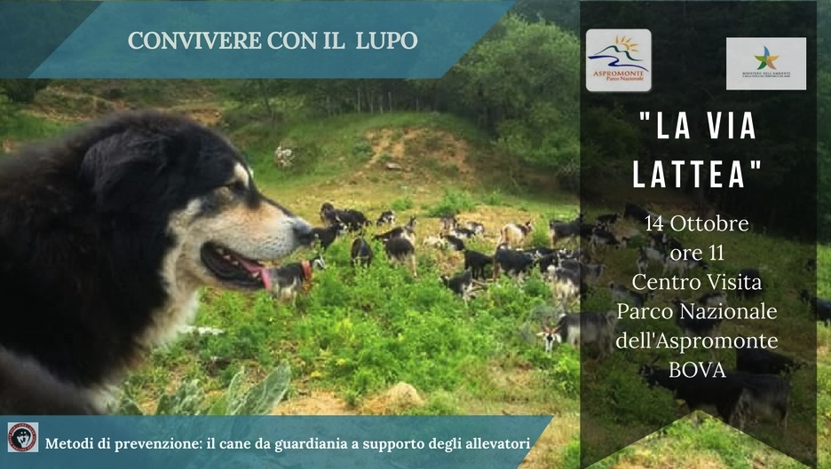 locandina parco lupo