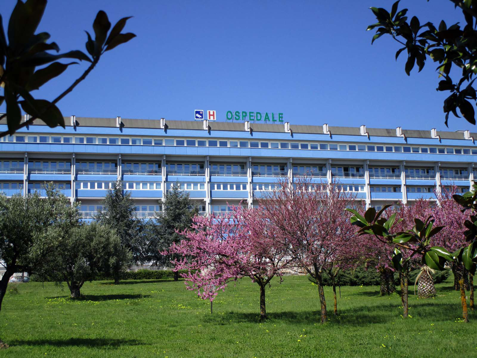 Ospedale Lamezia Terme