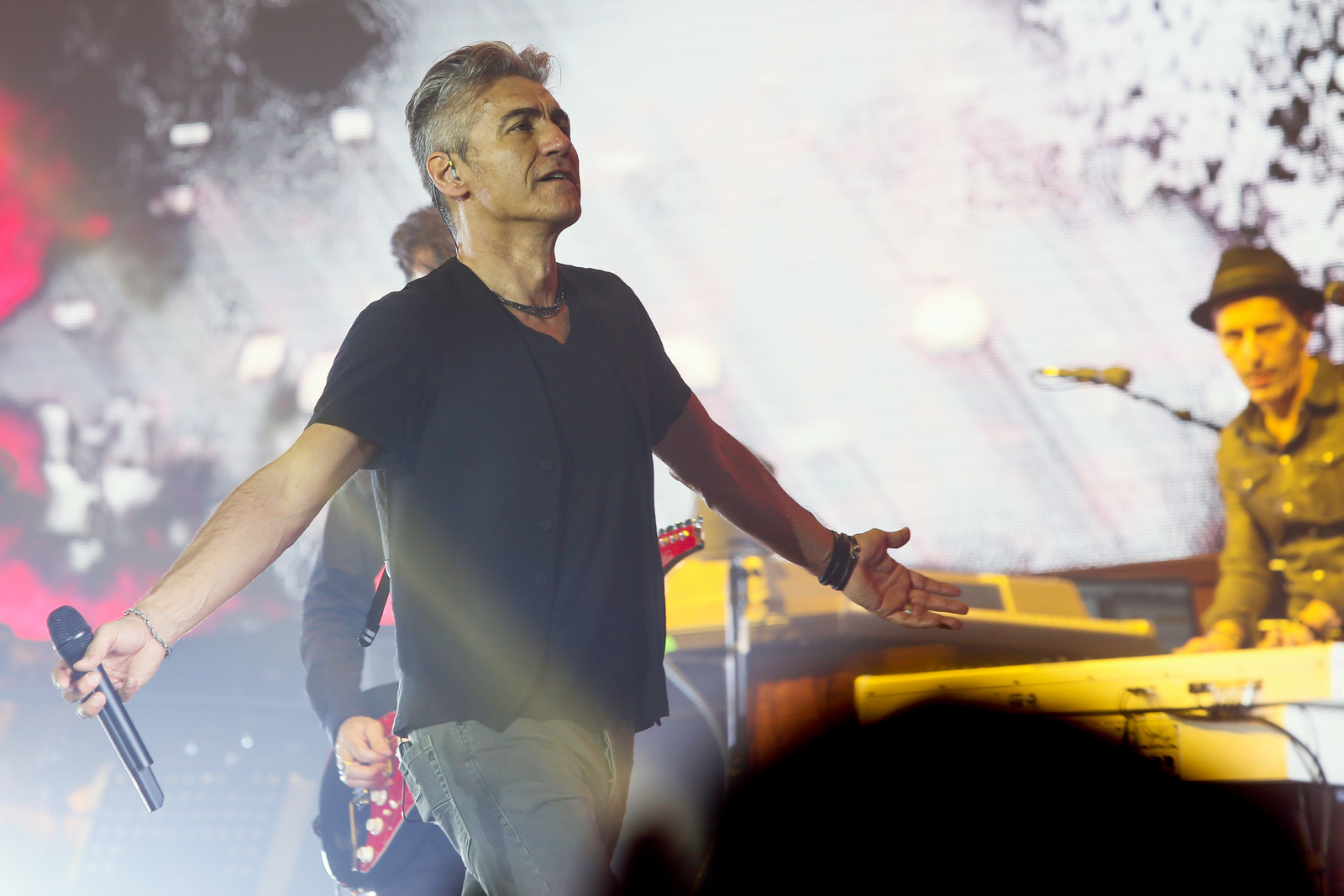 Ligabue rc