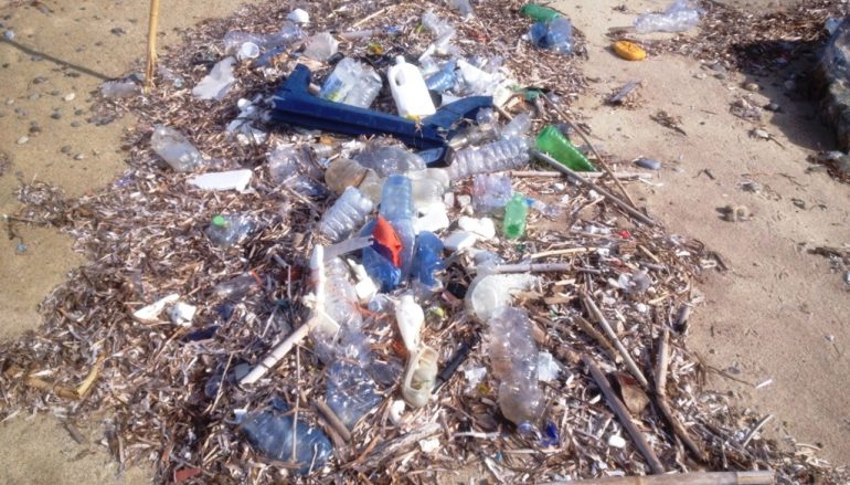 Arpacal: “E’ quella tirrenica la costa con maggiore presenza di rifiuti”