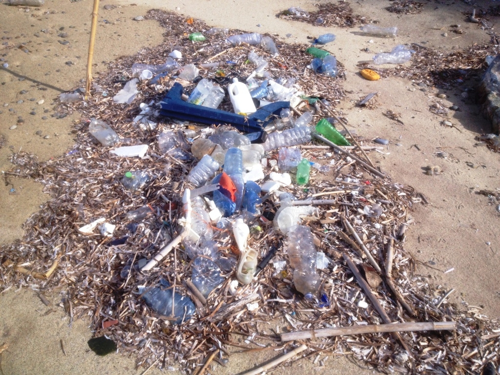 spiaggia rifiuti