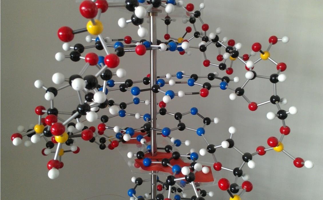 Scienze Sperimentali