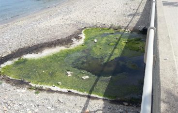 Crea: “Gravi criticità igienico sanitari sulla spiaggia di Pellaro”