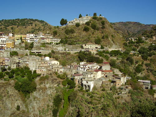 Richiesta disinfestazione al Comune di Montebello