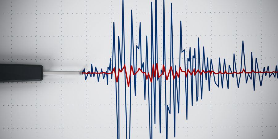 Scossa terremoto Cosenza