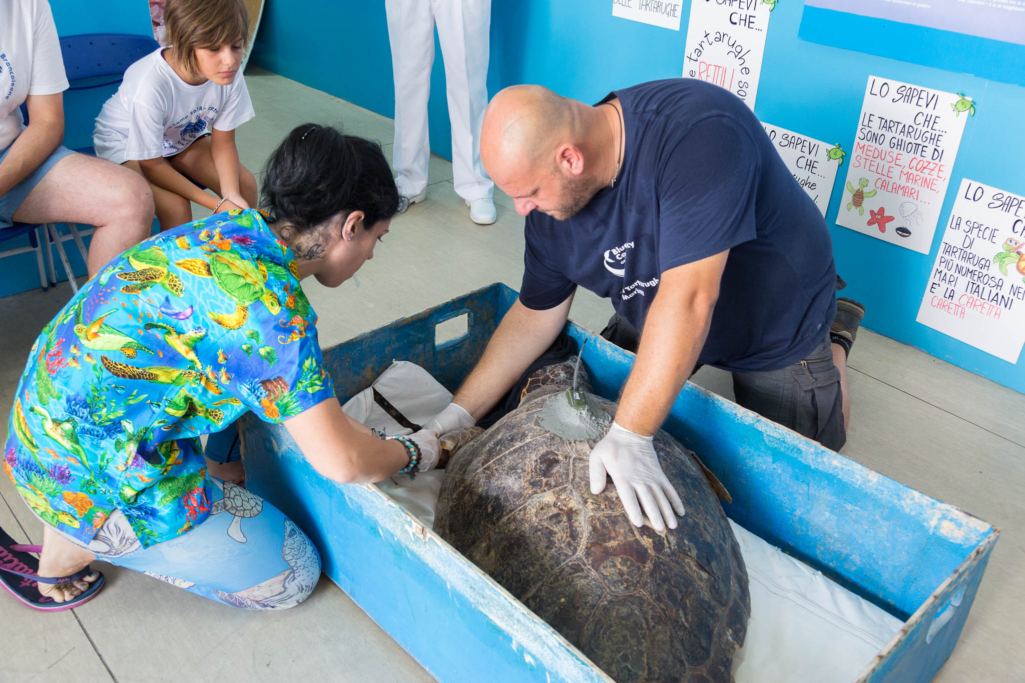 Centro Recupero Tartarughe Marine di Brancaleone