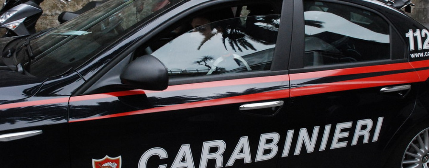 Cavalli uccisi a fucilate a Roccabernarda