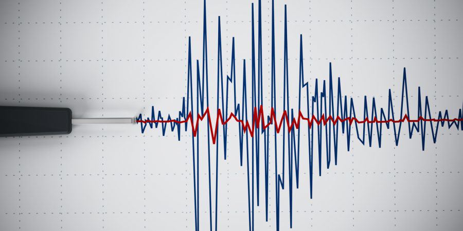 Scossa di terremoto a Cosenza