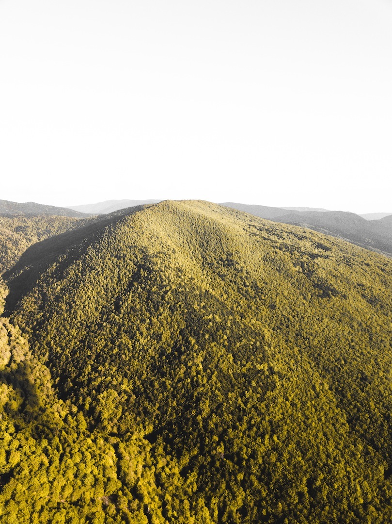 Nidificazione rapaci in Aspromonte