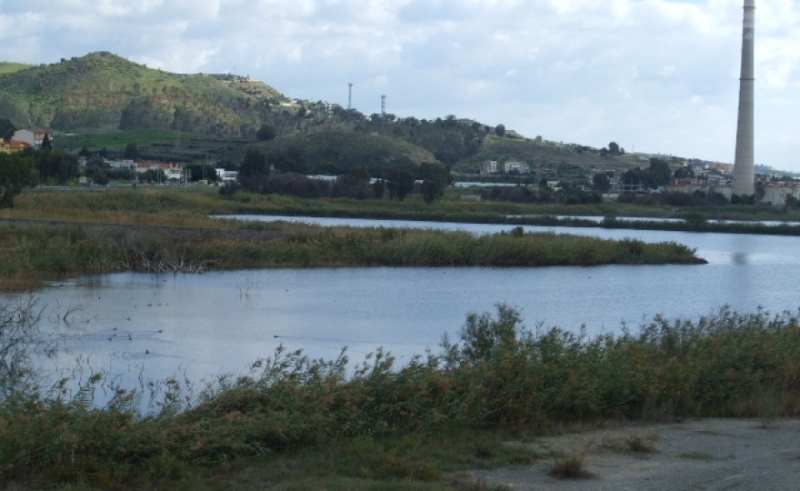 Pantano di Saline