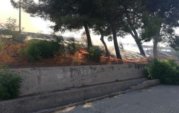 Incendio a Piazza Zagarella di Lazzaro, i particolari
