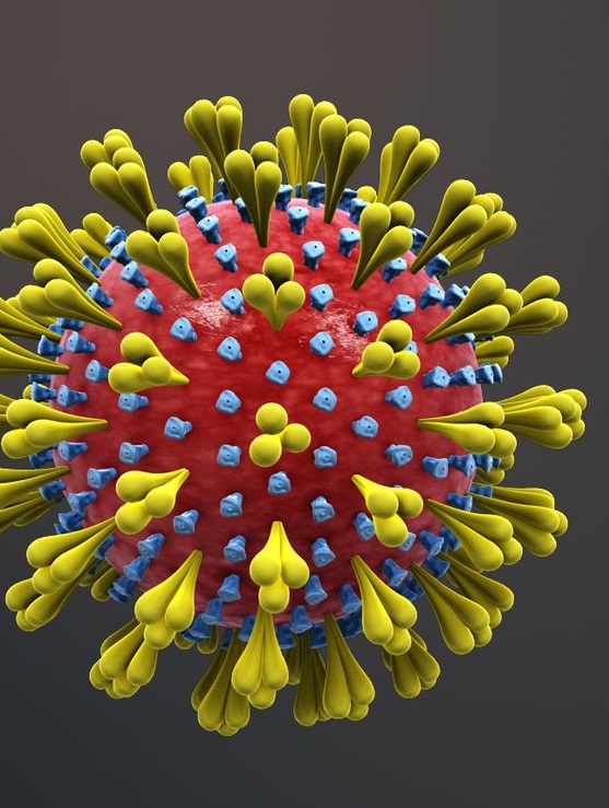 Coronavirus a Reggio Calabria