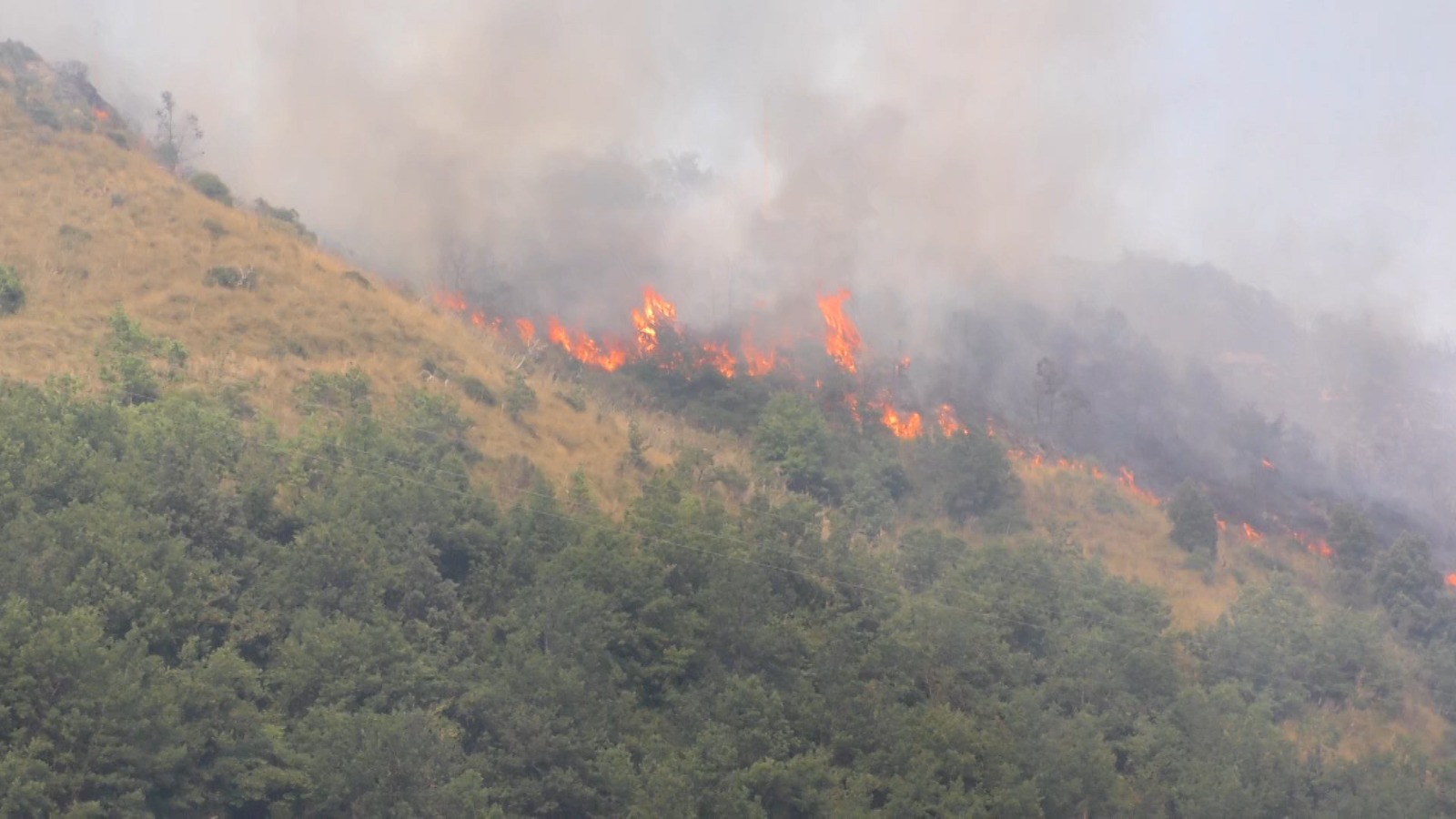 Incendi boschivi a Bova