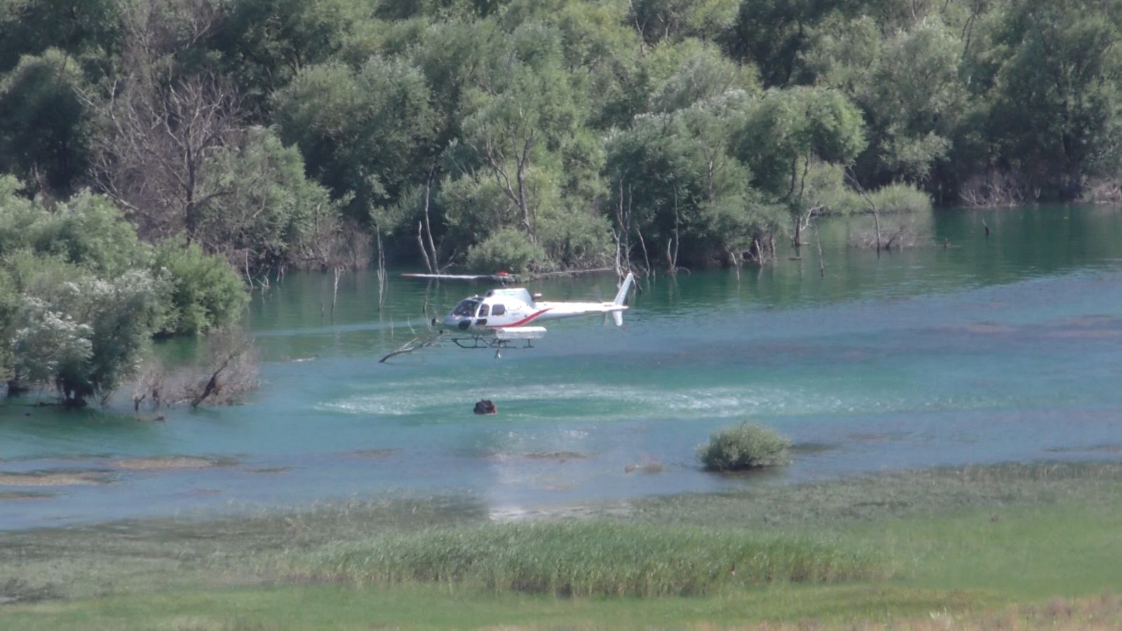 Incendi boschivi a Mottafollone