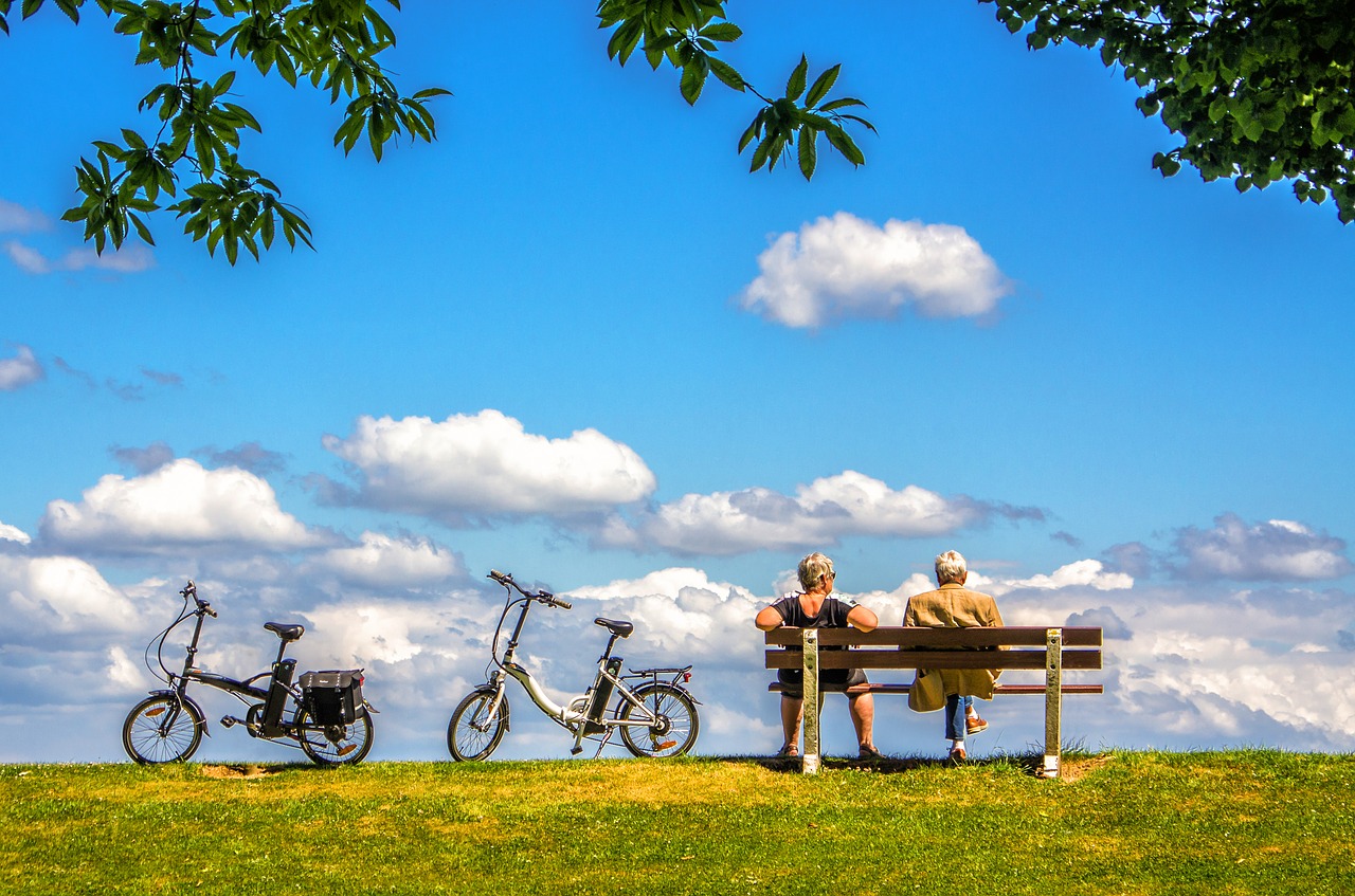 bici elettrica