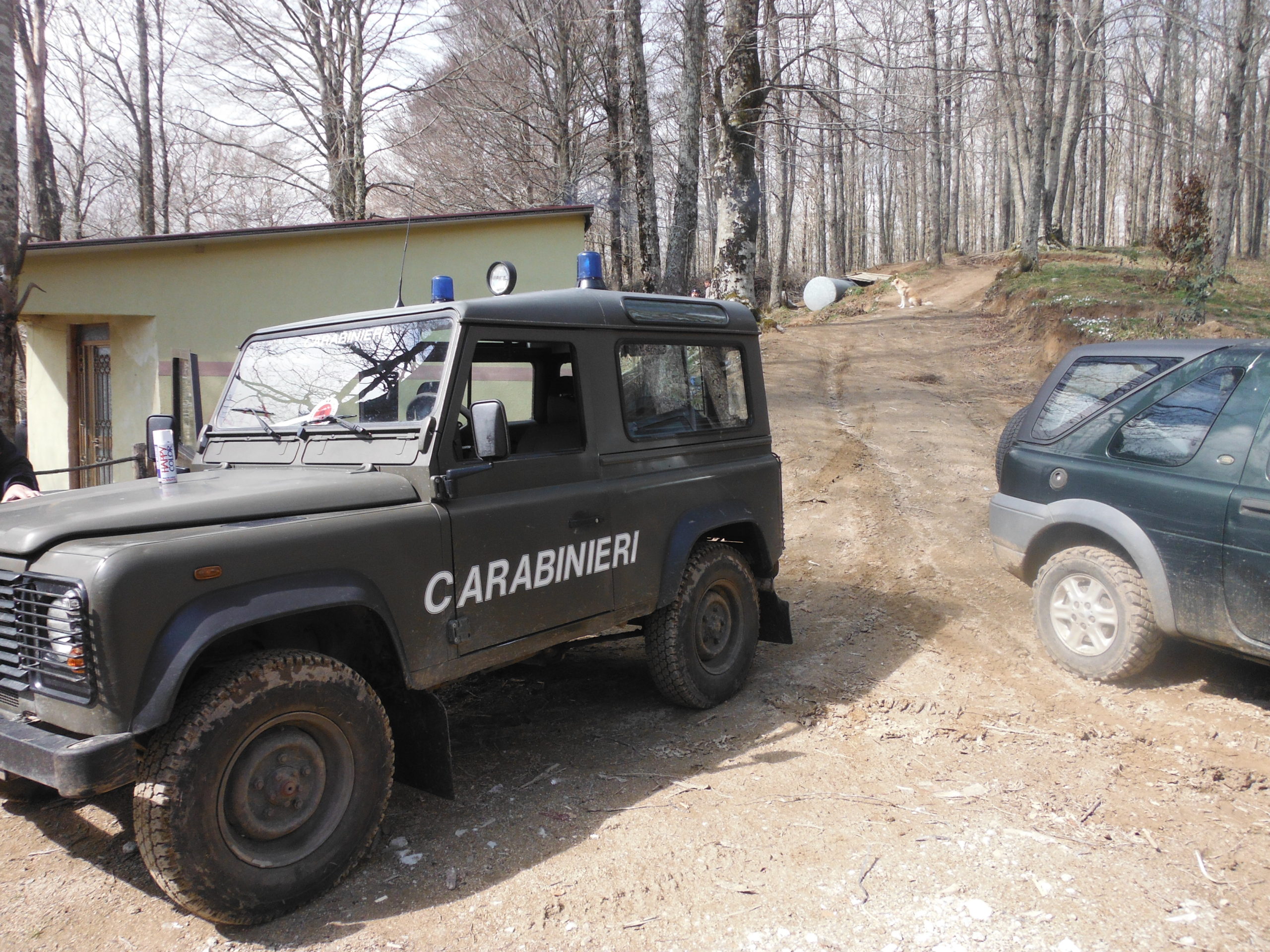 Arresti a Bagaladi