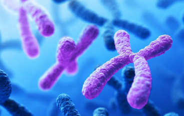 Mancanza del cromosoma X: la Sindrome di Turner