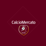 CALCIOMERCATO - REGGINA