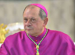 vescovo oliva