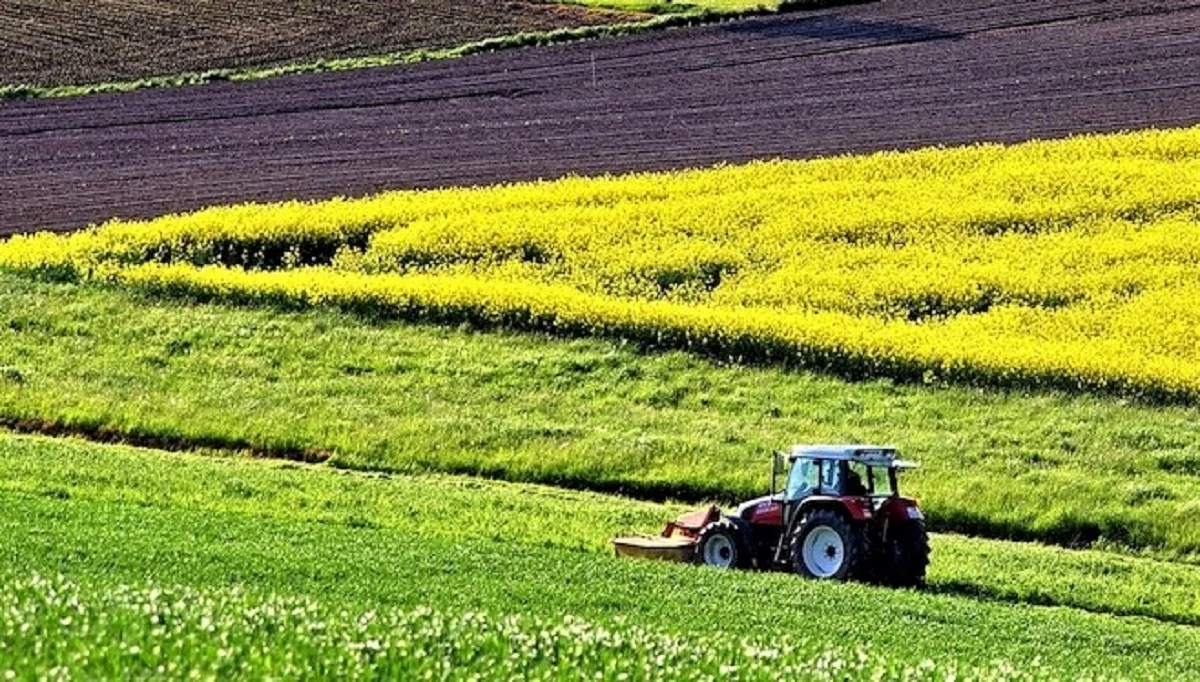 agricoltura in calabria