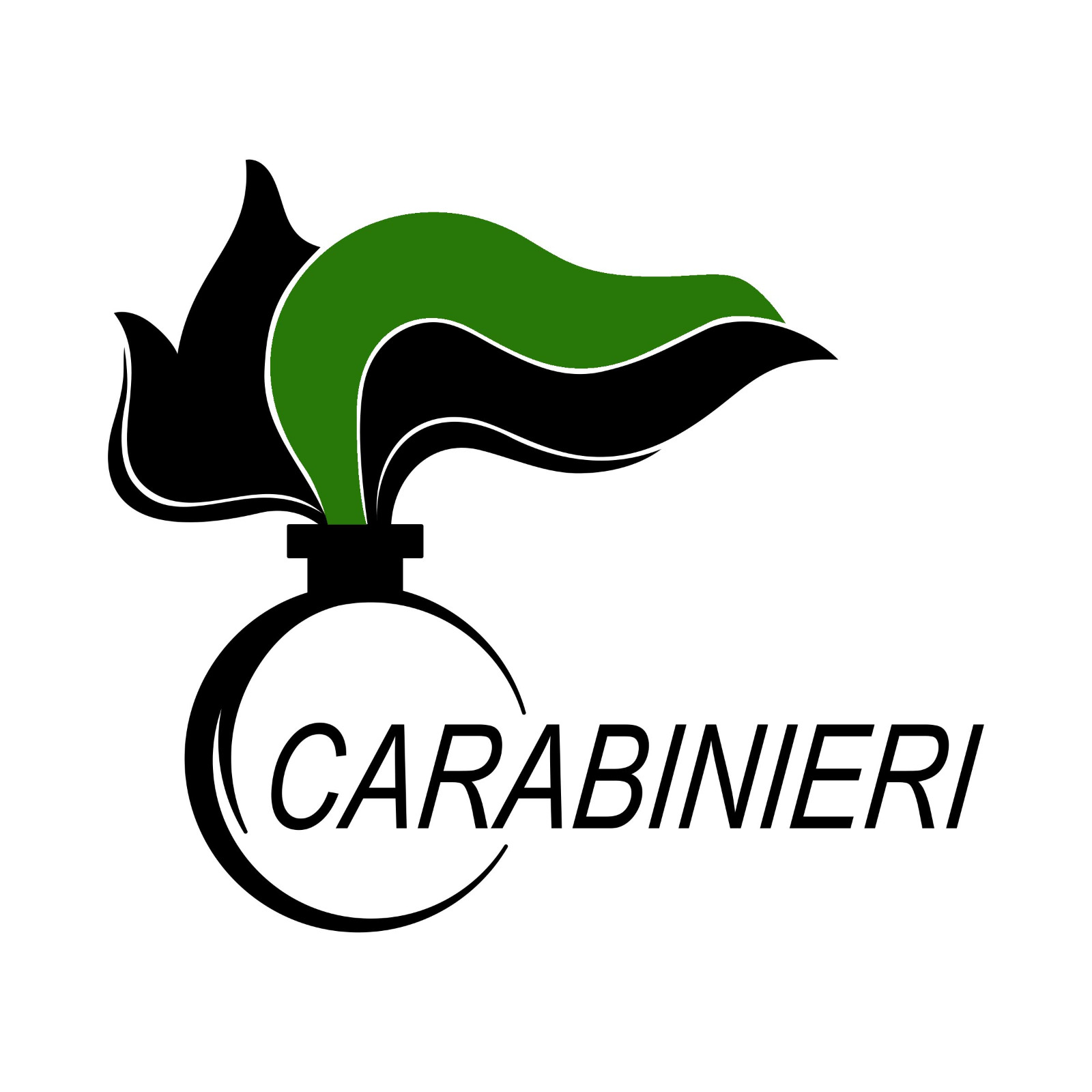logo Carabinineri