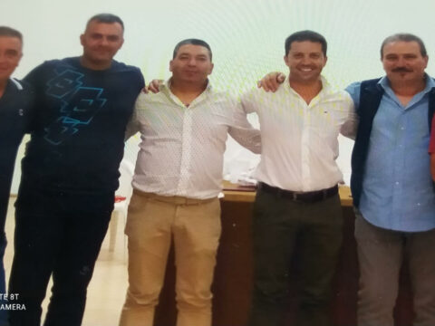 problema area grecanica