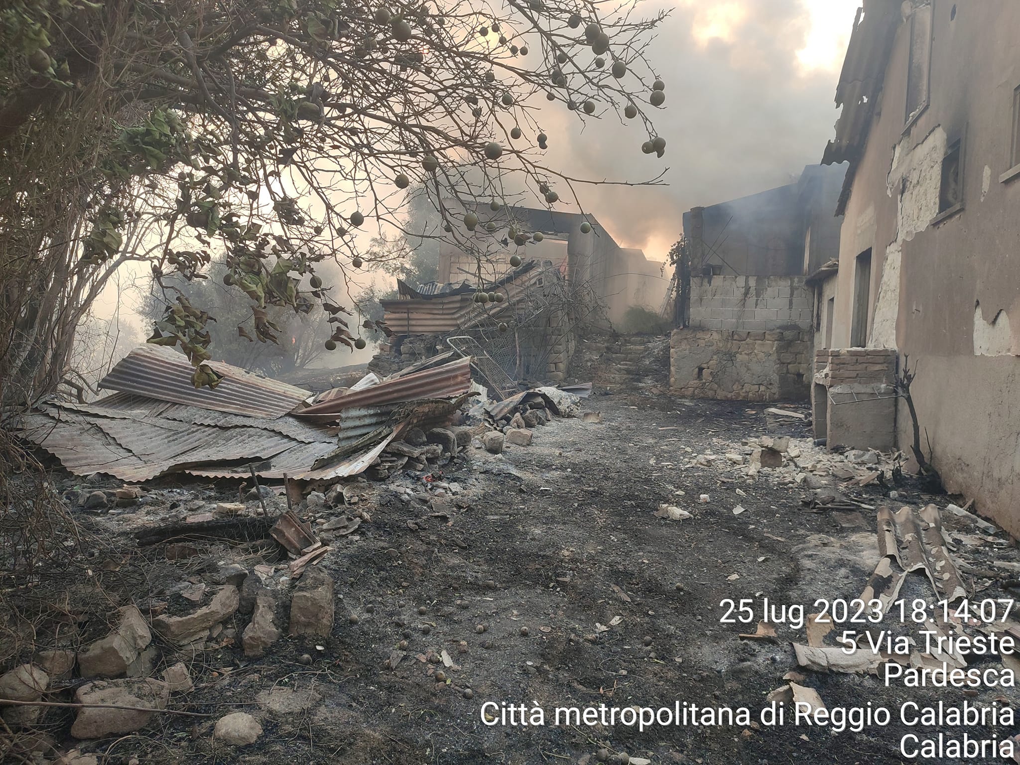 Incendi Area Grecanica e Locride, il punto della situazione
