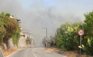 fuoco a ridosso di alcune abitazione di Pardesca
