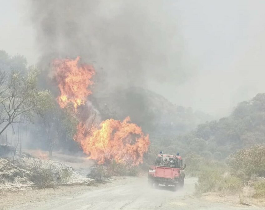 incendio chorio di san lorenzo