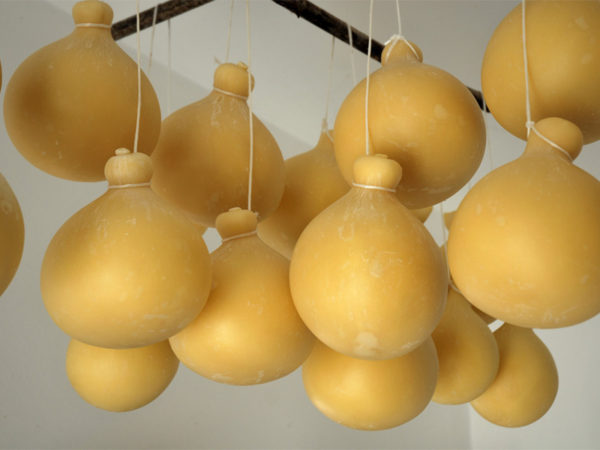 caciocavallo