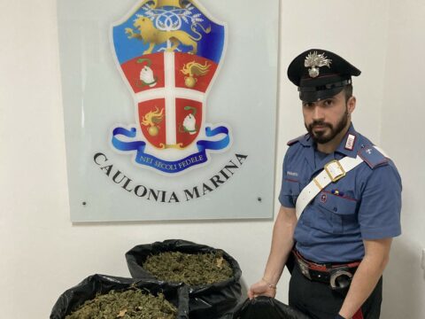Sequestro marijuana Caulonia