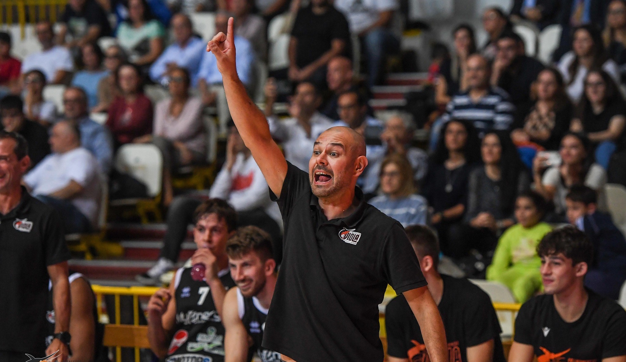 Viola, Cingarini “la squadra vuole continuare a fare bene”